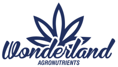 WONDERLAND