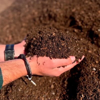 TIERRA DE HOJAS DE BOSQUE1