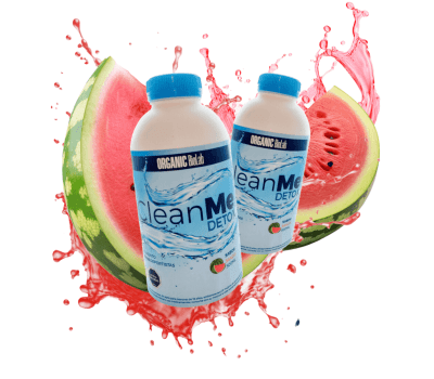 CLEAN ME DETOX SANDIA - ORGANIC BIOLAB