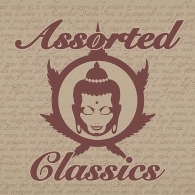ASSORTED CLASSICS AUTO X10 - BUDDHA SEEDS1