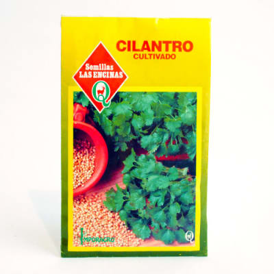 CILANTRO CULTIVADO