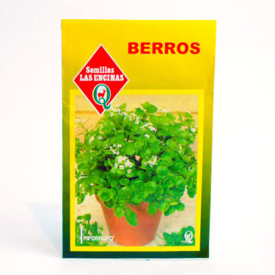 BERROS