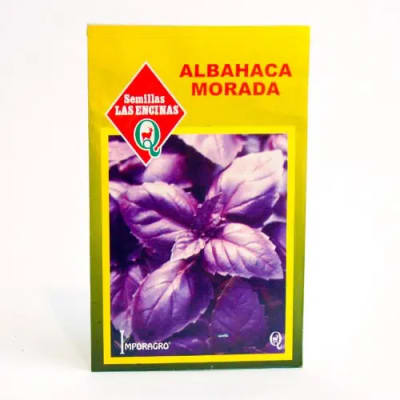 ALBACA MORADA