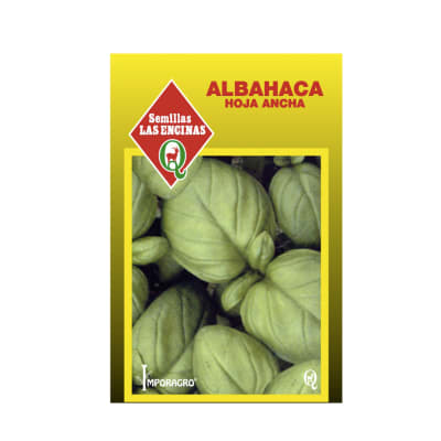 ALBAHACA HOJA ANCHA
