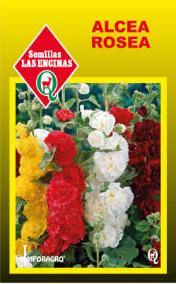 ALCEA ROSEA1