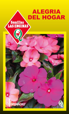 ALEGRIA DEL HOGAR
