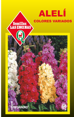 ALELÍ COLORES VARIADOS