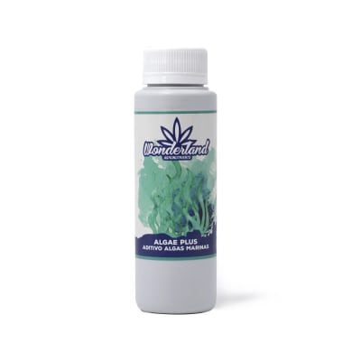 ALGAE PLUS - WONDERLAND