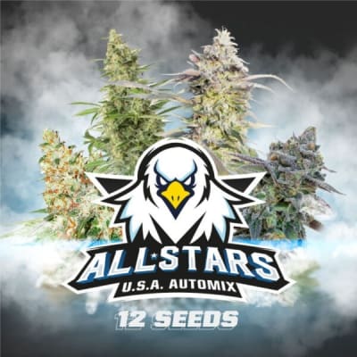 ALL STARS USA AUTOMIX X12- BSF SEEDS1