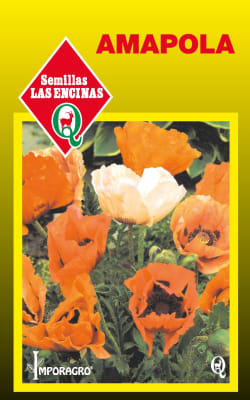 AMAPOLA