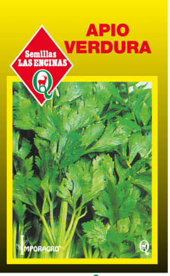 APIO VERDURA