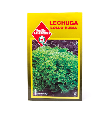 LECHUGA LOLLO RUBIA