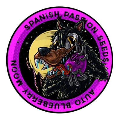 BLUEBERRY MOON AUTO X3 - SPANISH PASSION SEEDS1