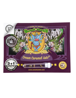 CREAM CARAMEL AUTO X3+1 - SWEET SEEDS
