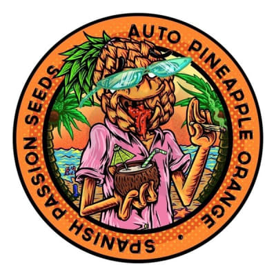 PINEAPPLE ORANGE AUTO X3 - SPANISH PASSION SEEDS