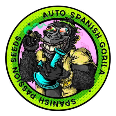 AUTO SPANISH GORILLA X3 - SPANISH PASSION SEEDS