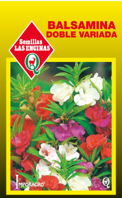BALSAMINA DOBLE VARIADA