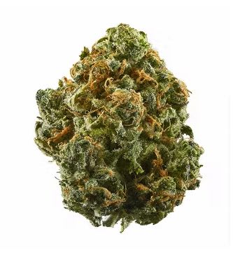 BLUE DREAM FEM X1 - STRAIN MACHINE