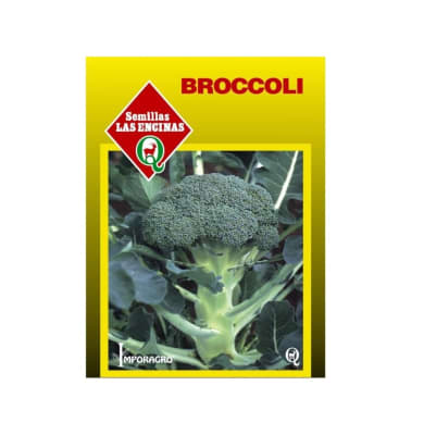 BROCCOLI
