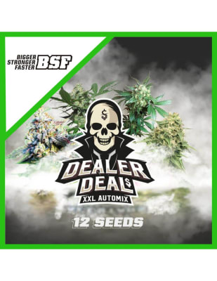 DEALER DEAL XXL AUTO MIX X12 - BSF SEEDS