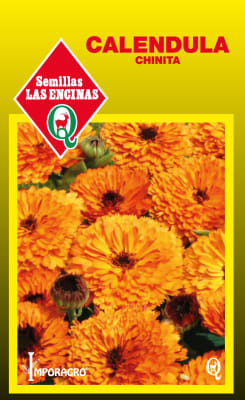 CALENDULA CHINITA