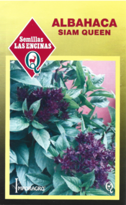 ALBAHACA SIAM QUEEN