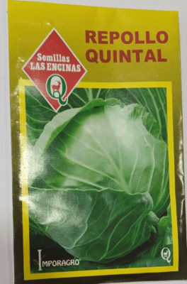 REPOLLO QUINTAL