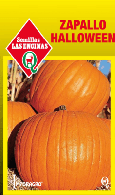 ZAPALLO HALLOWEEN