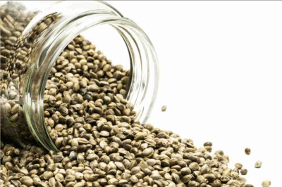 KRYPTONITE AUTO - SEMILLA GRANEL1