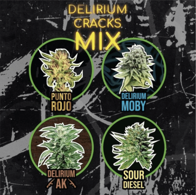 MIX DELIRIUM CRACK FEMINIZED X14 - DELIRIUM SEEDS