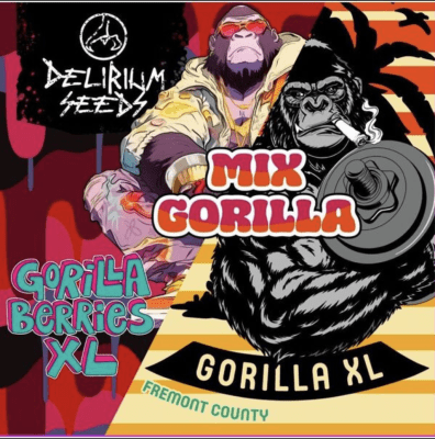 MIX GORILLA FEMINIZED X4 - DELIRIUM SEEDS1