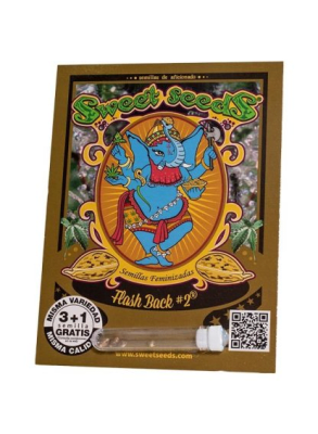 FLASH BLACK FEM #2 X3+1 - SWEET SEEDS