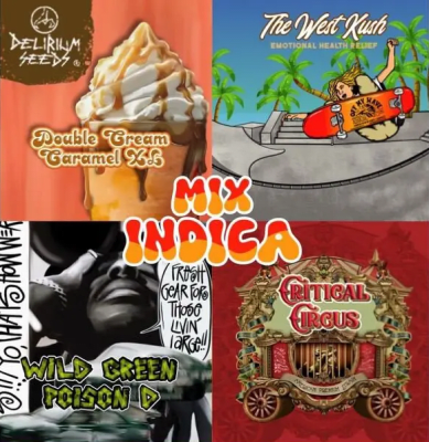 MIX INDICA FEMINIZED X14 - DELIRIUM SEEDS