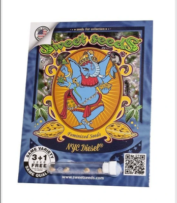 NYC DIESEL FEM X3+1 - SWEET SEEDS1