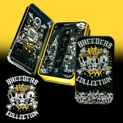 SHERBET X WIFI OG FEM X3 - STRAIN MACHINE1