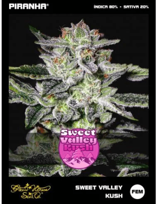 SWEET VALLEY KUSH FEM X3 - GREEN HOUSE SEED CO