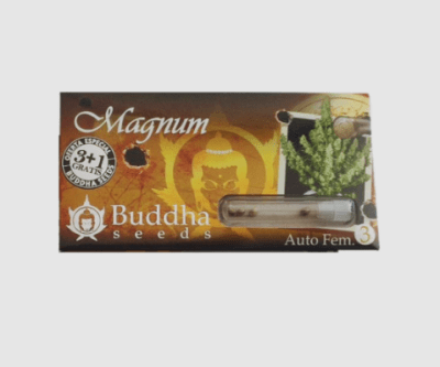 MAGNUM AUTO X3+1 - BUDDHA SEEDS
