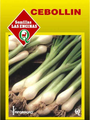 CEBOLLIN