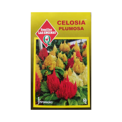 CELOSIA PLUMOSA