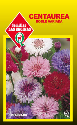 CENTAUREA DOBLE VARIADA