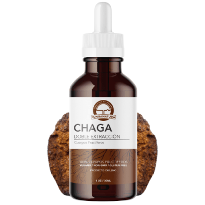 CHAGA 3:1 EXTRACTOCONCENTRADO