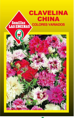 CLAVELINA CHINA COLORES VARIADOS