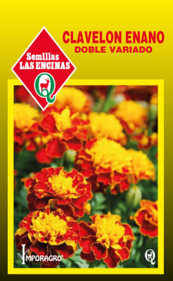 CLAVELON ENANO DOBLE VARIADO