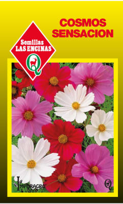 COSMOS SENSACION COLORES VARIADOS