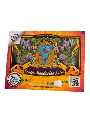 CREAM MANDARINE AUTO X3+1 - SWEET SEEDS