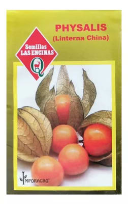 PHYSALIS ( LINTERNA CHINA )