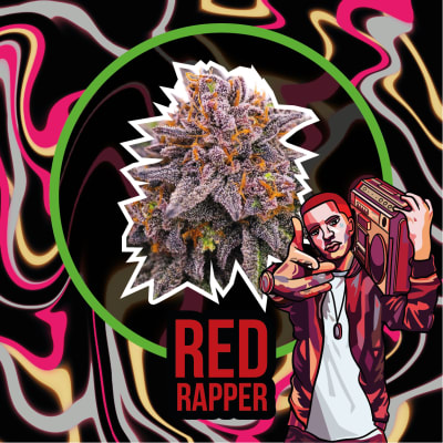 RED RAPPER - AUTO - X1 - DELIRIUM SEEDS1