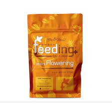 GREEN HOUSE POWER FEEDING INDICA 10 GR1