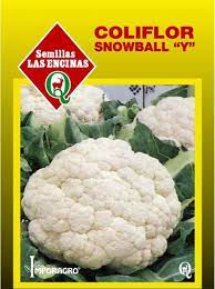 COLIFLOR SNOWBALL Y