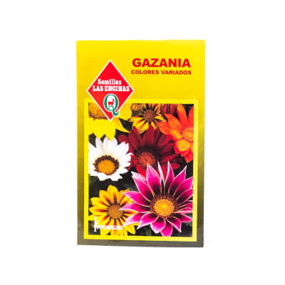 GAZANIA COLORES VARIADOS